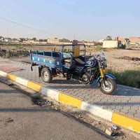 ستوته • موديل ٢١ • اوراق اصويله