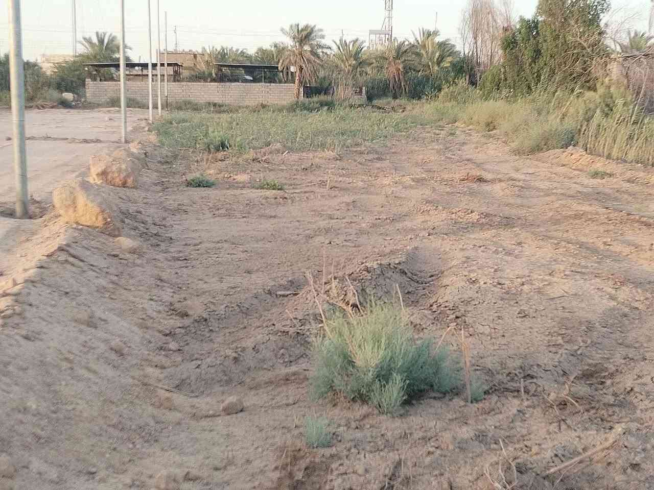 سلام عليكم للاستفسار ***********
قطع اراضي للبيع المساحه 200متر

وقف سني مسجل 

عرض الشارع10متر

جميع الخدمات متوفر 

العنوان ابي الخصسب جامع الشهيد الروميه

السعر19مليون 

للاستفسار ***********
