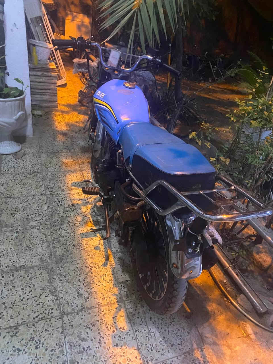 سلام عليكم داراجه سولنك ٢٠٢٥ دارجع مكينه فول برغي ما مفتوح بيهه دراجه يرادلهه ترتيب بك لايت موجود مالتهه  كلشي كامله شغل وتطلع كبل مكاني بغداد الشعب سعر750 رقمي ***********
