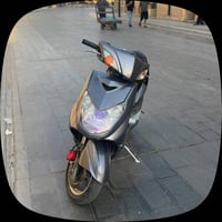 سكنس فحل • اوراق كامله • كفاله عامه