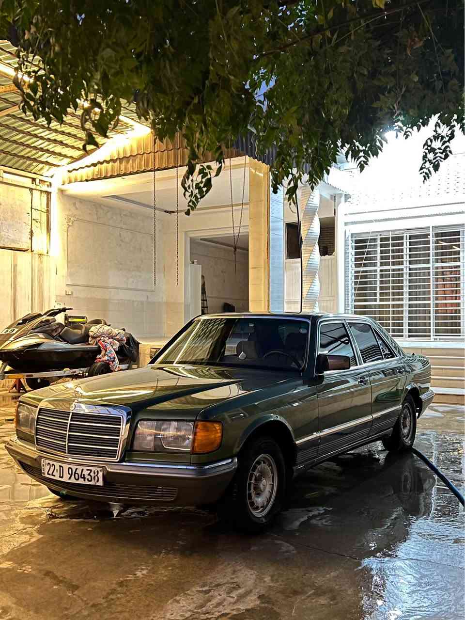مرسيدس • ١٩٨٣ • زيتونة