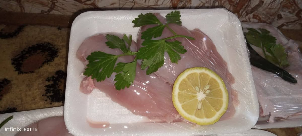 دجاج يوم بيوم • مقطع/كامل/نص • بدون تبريد