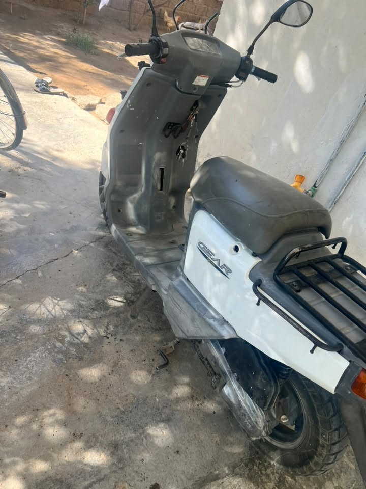 بيكم • نكرة • سلف هندر