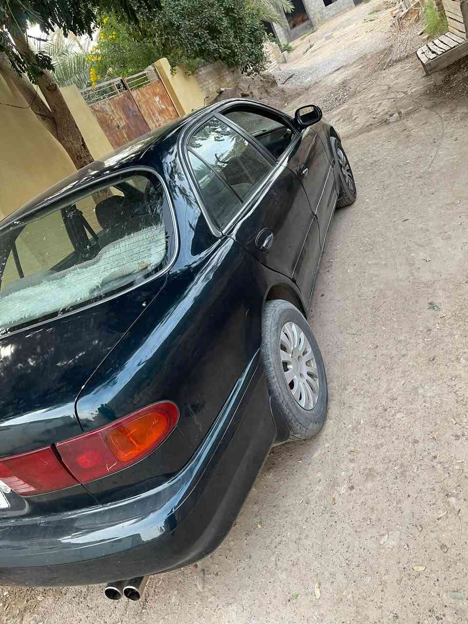 سوناتا ١٩٩٥ • زيتوني • المقداديه