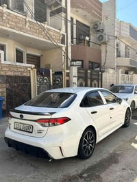 كورلا اس ادشن • ٢٠٢٤ • الدورة