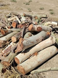 حطب منوع • درجة اولى • السرقاط الايسر