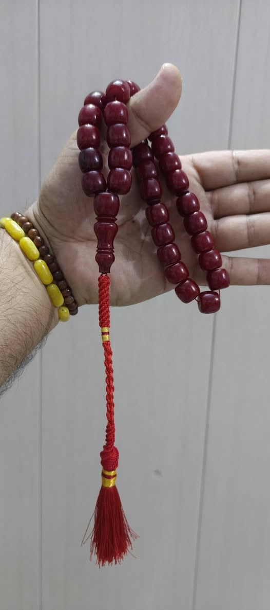 سندلوس • عظم • أسعار مناسبة