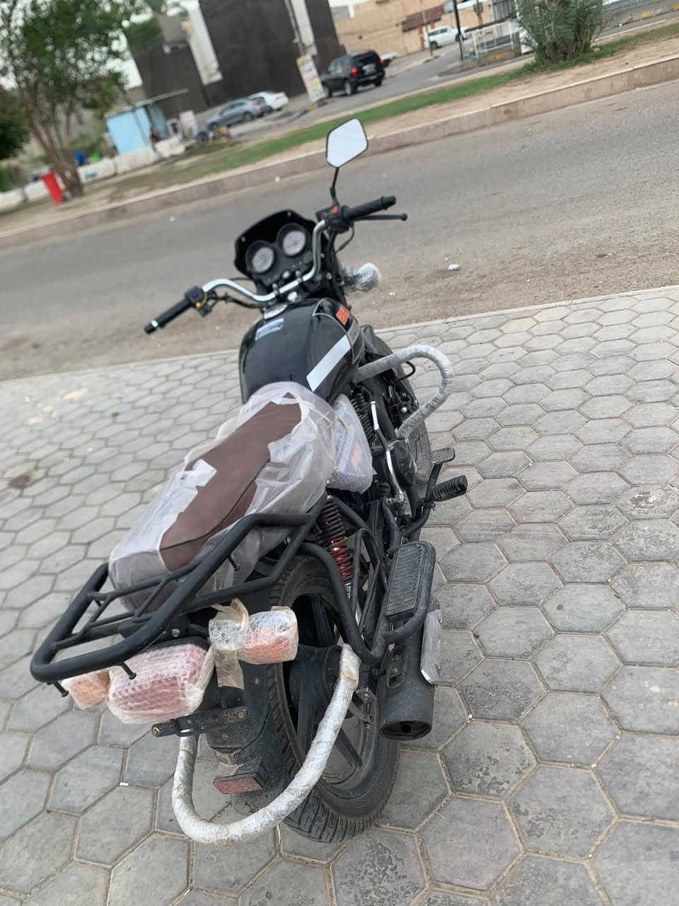 دايون ٢٥ • بلادي • وراق