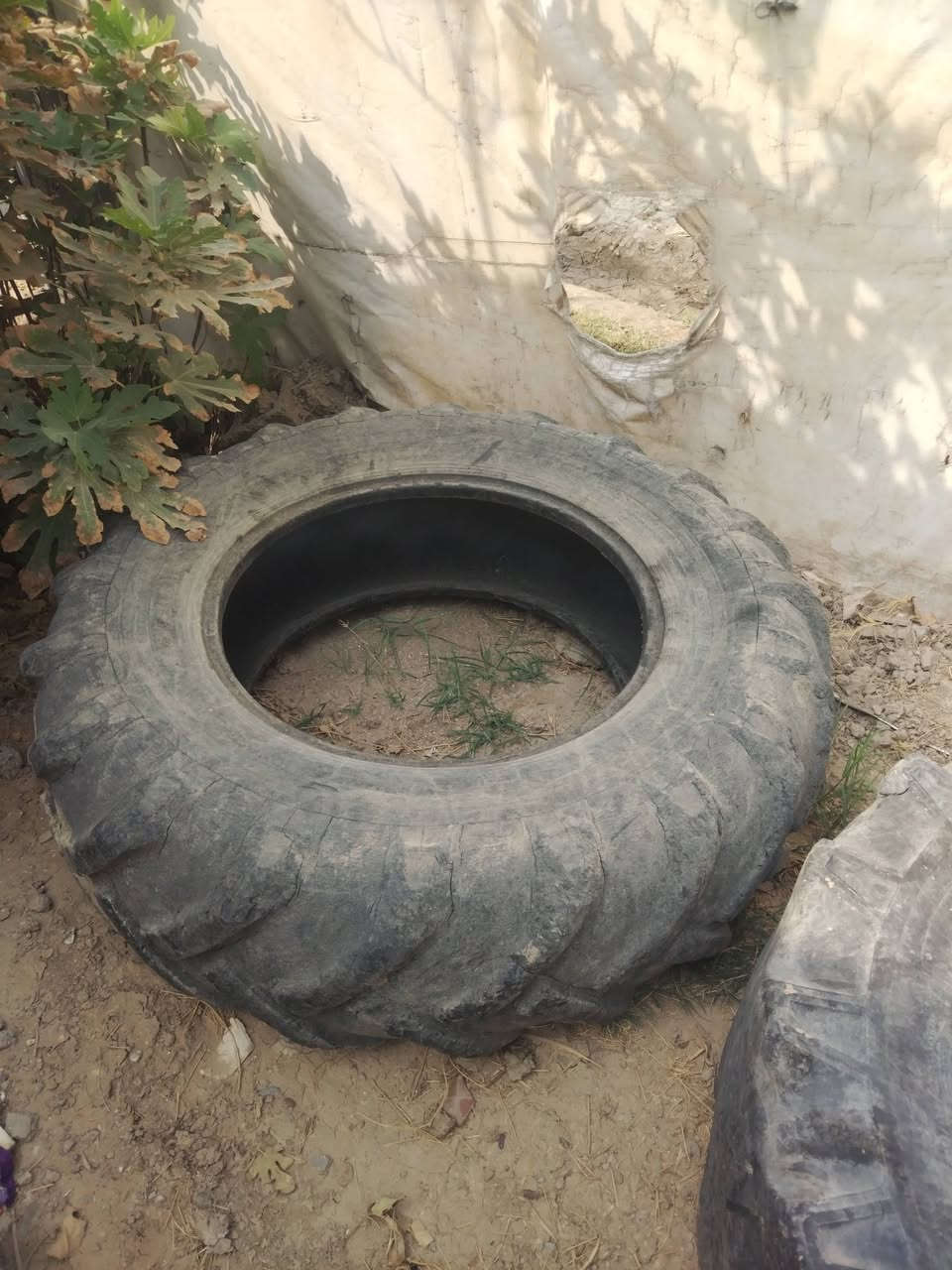 المحمودية • مكينة عنتر • نضاف