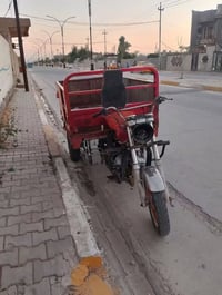 ستوته • شغالة • بكس جديد