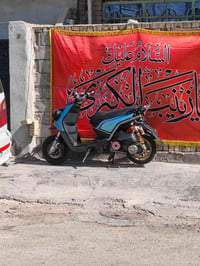 سكنس جبلي • ٢٠١٤ • معدل تاكل