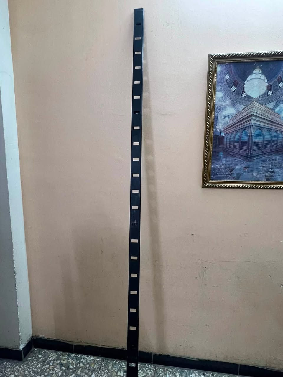 ديكور محل كامل للبيع
مع استاندات عرض ملابس  عدد ٣ 

شبجة عرض احذية 

تعاليك + ملكانات ٣ اسود ٣ ابيض مع ملكان صغير اطفال 

العنوان بغداد كرادة داخل 

***********
