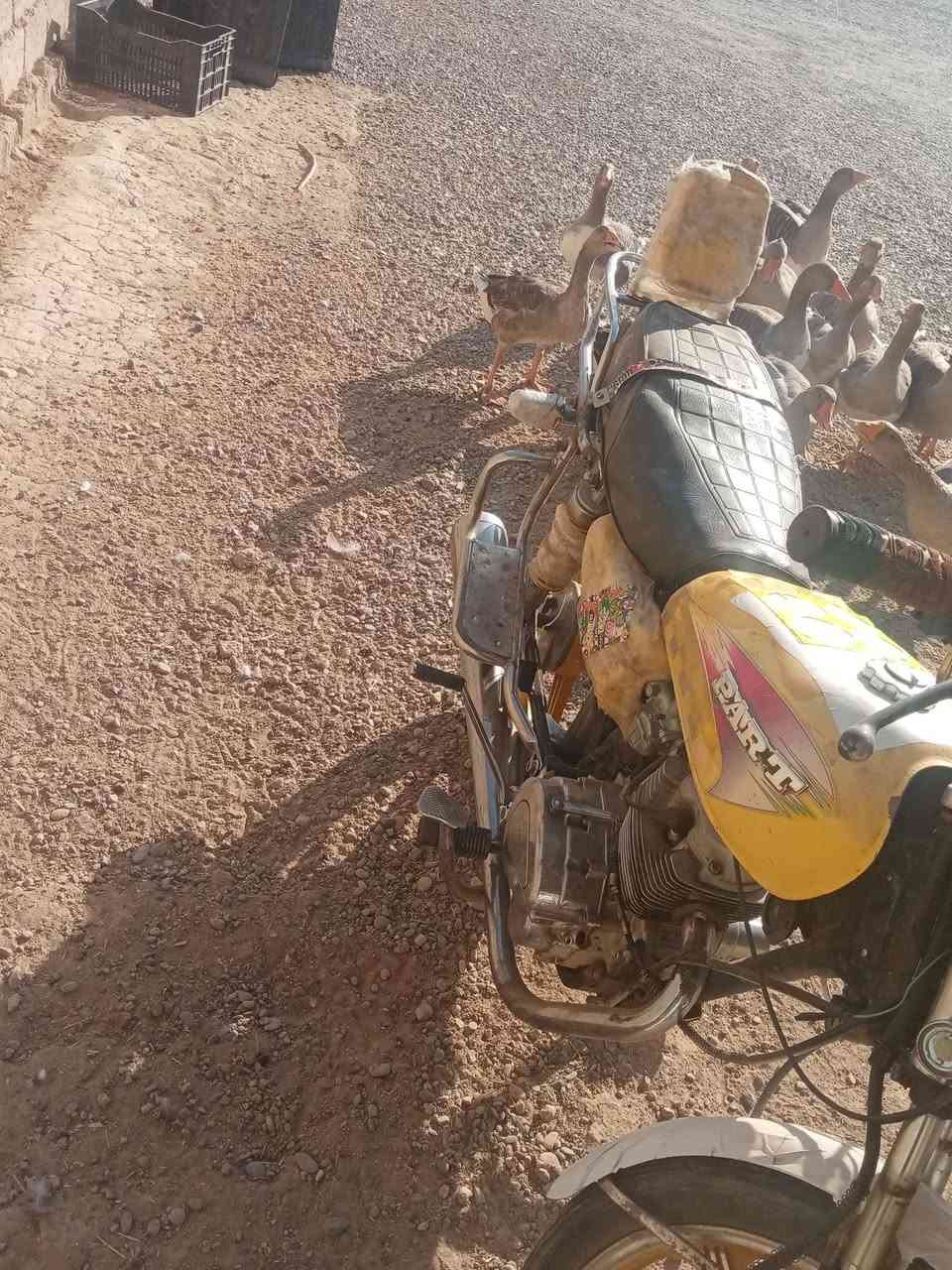 السلام عليكم موطور للبيع ابو الكلة موديل ١٩ محرك مجفت جديد كهربايات شغالة سلف يعوزة صجم السعر ٣٢٥ وبية مجال شوية الاخاص مفتوح او الا تصال على رقم ***********
