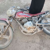 بيكال • ١٥٠ • مكفول