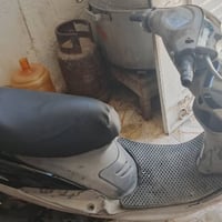 ماكس منغولي