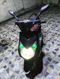 سكنس فحل • ياباني • كفالة