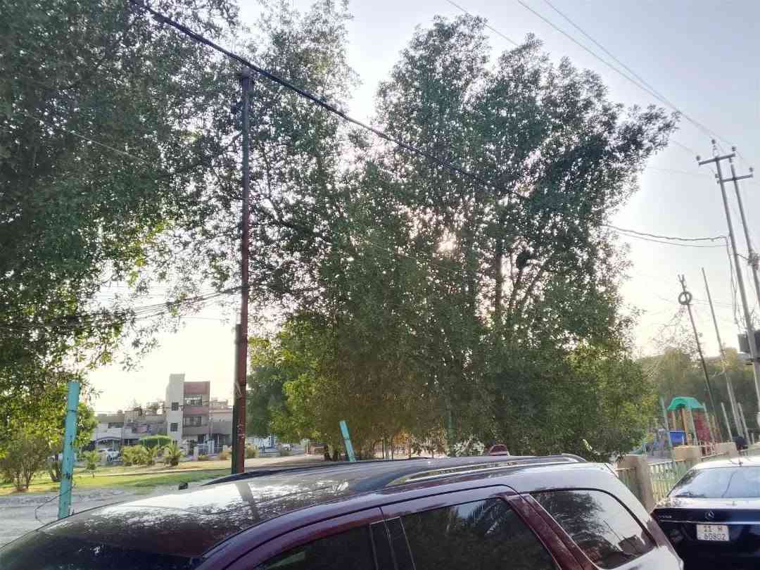 دار البيع مساحه 200 العنوان الشعب قرب سوك 4000 البيت مقابيله منتزه ***********
