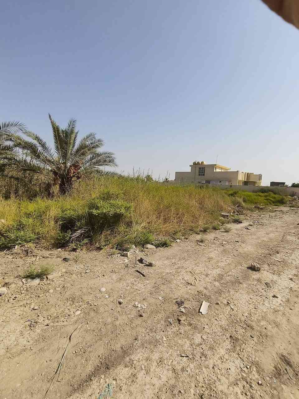 السلام عليكم شباب قطعه ارض للبيع المساحه 460 متر السند مالتها على 25 والمكان واسط صويره على طريق المطار تبعد عن المحطه 300 متر قريبه على الشارع حيل حلوه تحتوي ماي كهرباء وخط ذهبي كهرباء خط عادي والابي مال المي صاير بيها حلوه قطعه والاستفسار على  ذني الارقام وانا بالخدمه***********
‏‪***********‬‏
السلام عليكم شباب قطعه ارض للبيع المساحه 460 متر السند مالتها على 25 والمكان واسط صويره على طريق المطار تبعد عن المحطه 300 متر قريبه على الشارع حيل حلوه تحتوي ماي كهرباء وخط ذهبي كهرباء خط عادي والابي مال المي صاير بيها حلوه قطعه والاستفسار على  ذني الارقام وانا بالخدمه***********
