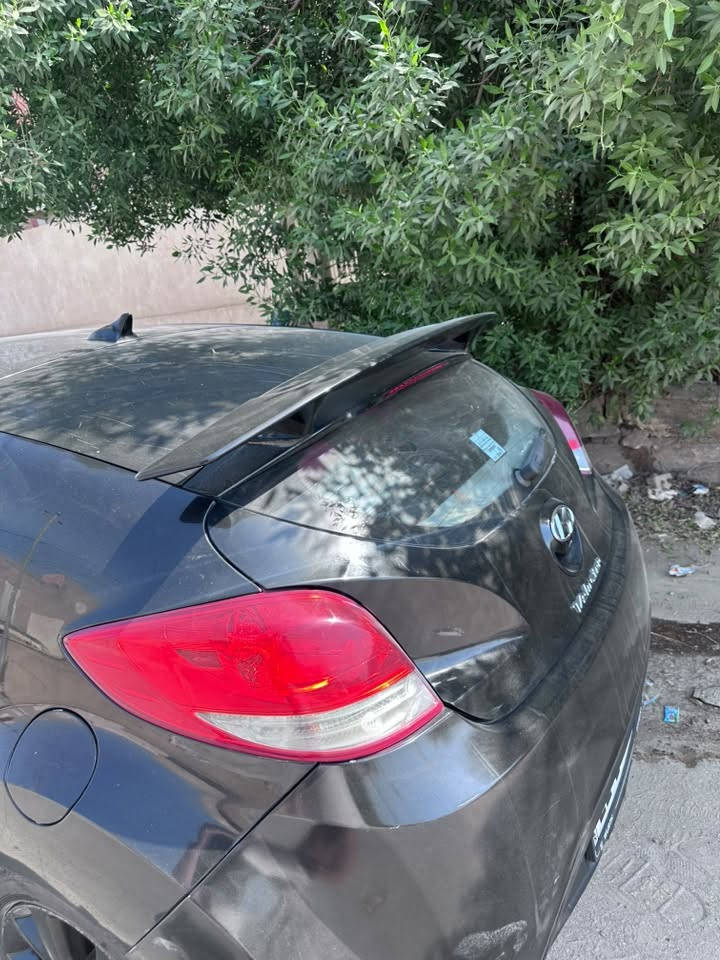 فيلوستر • ٢٠١٦ • رقم اربيل