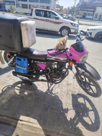 دايوان • ٢٣ • كفاله