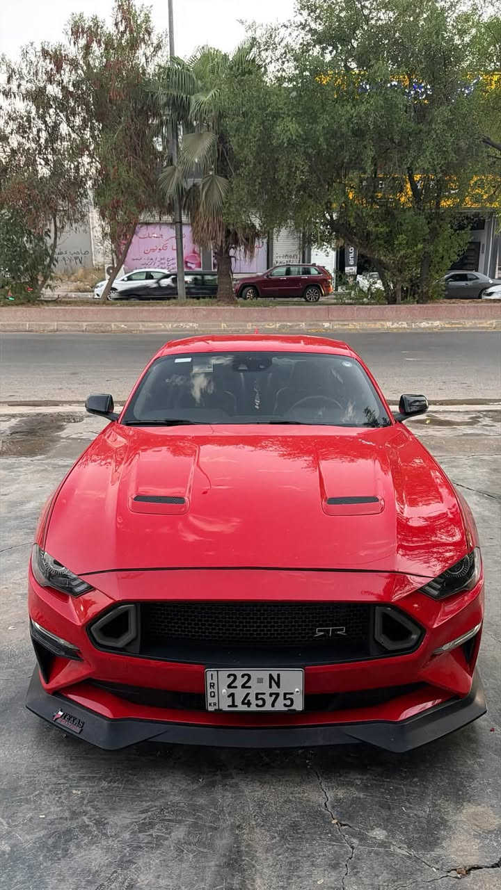 موستنك GT 2023 لبيع فقط بدون مراوسه
فول 1/1 اعلى مواصفات
كيج ديجتال 
شاشه جبير وكار بلي 
دواخل 7الوان 
كشن جلد وتبريد وتدفئه وخزن ميموري 
رادار امامي وخلفي وجوانب 
اكزوز اكتف
حادثها بس بنيد صبغ ورقم شاصي موجود بل منشوره
ماشيه 7 الف ميل فقط زيرو 
عليها كت كامل RTR 
وياله تخم جديد فويس شكل جديد 
بك لايتات ابيض 
سياره جديده ومصروف عليها اهوايه وجاهزه 
مرقمه كامل اربيل تحويل مباشر 
مكان سياره كركوك 
سعرها 225 ورقه ومجال بسيط
***********
