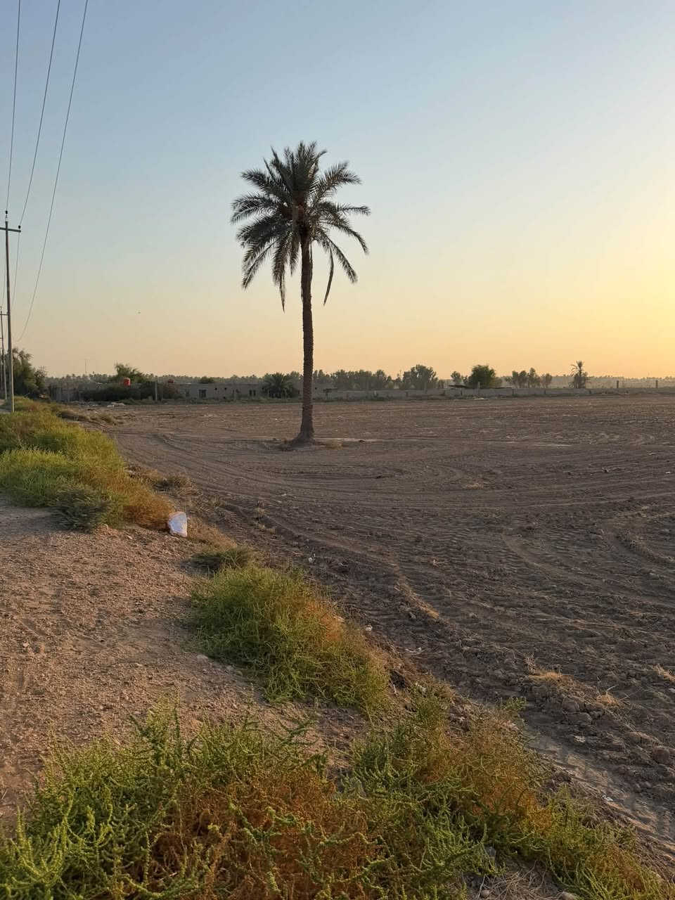 أرض زراعيه في منطقة الرغيلة على التبليط مباشرتاً تبعد عن الشارع العام حله كربلاء 1 كيلو متر مساحتها 15 دونم مسيجه وجاهزه بالكامل

للأستفسار الإتصال على : ***********-‭ ***********

