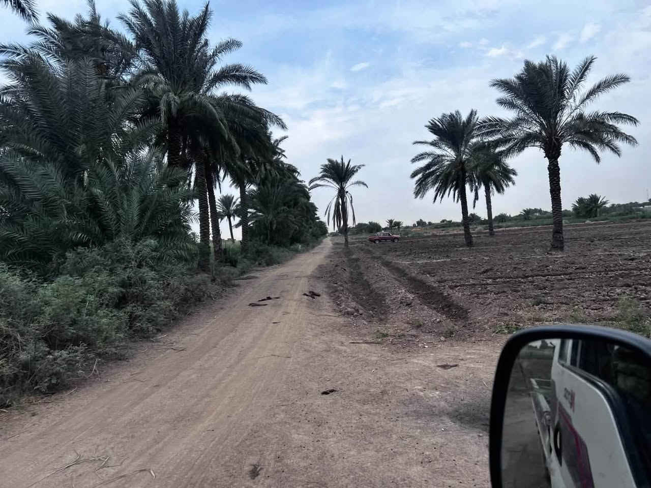 ٤٠ دونم • شاطيه • مياه كهرباء