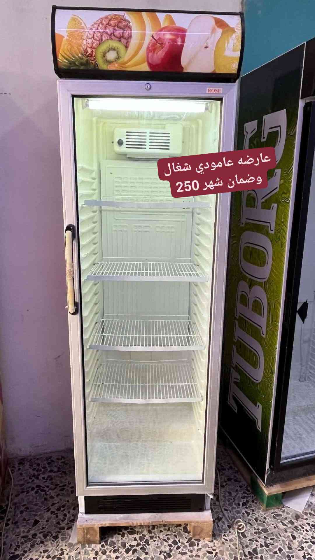يوغور تركي • ايكور تركي • ضمان شهر