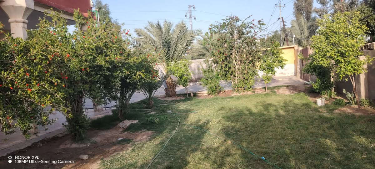 السلام عليكم بيوت عدد اثنين
مع مشتمل للبيع في حي رشيد قريب علئ مستشفئ الامام علي (ع) 
المساحه الكليه 1400 متر  مساحه البنيان 870 متر  مساحه الفارغه 530 الخدمات متوفره 
اساله كهرباء مولد تبليط مدرسه قريبه
موقعه تجاري يصلح محلات مع محطه ماء  مع  غرف عدد اثنين 5_4 مضيف 8_4 مطبخ كله سراميك وسقف ثانوي 4_4 هول 10_4 البيت الثاني نفس الغرف بس مابي مضيف مطبخ خارجي مجمع صحيات وحمام خارجي الاستفسار على هاي الارقام      ***********  ***********   رجاء ما يحب يشتري يعبر المنشور بدون تعليقات سلبيه

نص مكتوب في الصور:
- O HONOR X9b
- 108MP Ultra-Sensing Camera
- HONOR X9b