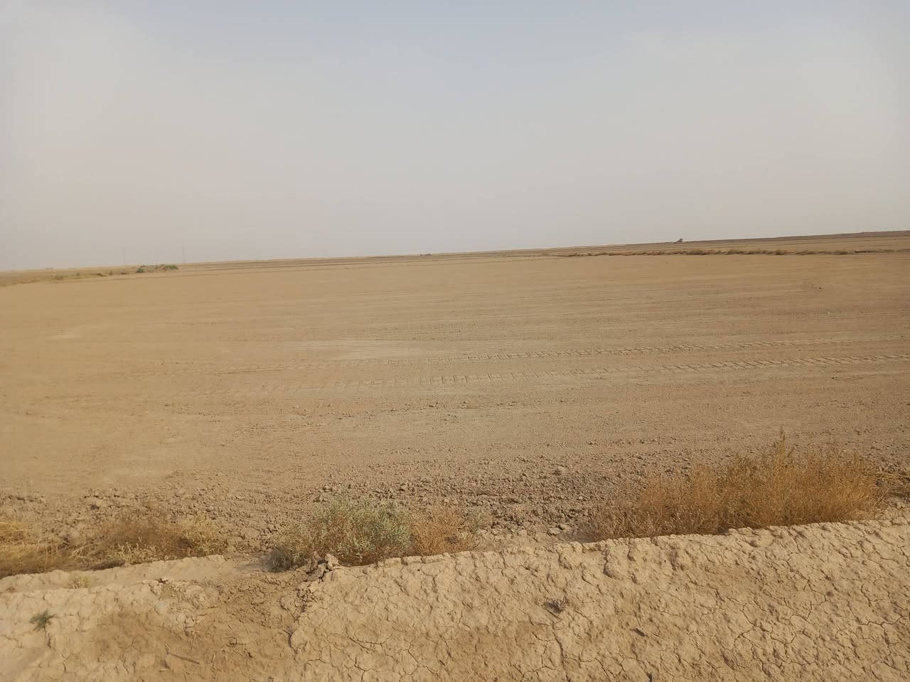أرض زراعية • ١٠٠٠ دونم • الكوت طريق بدره