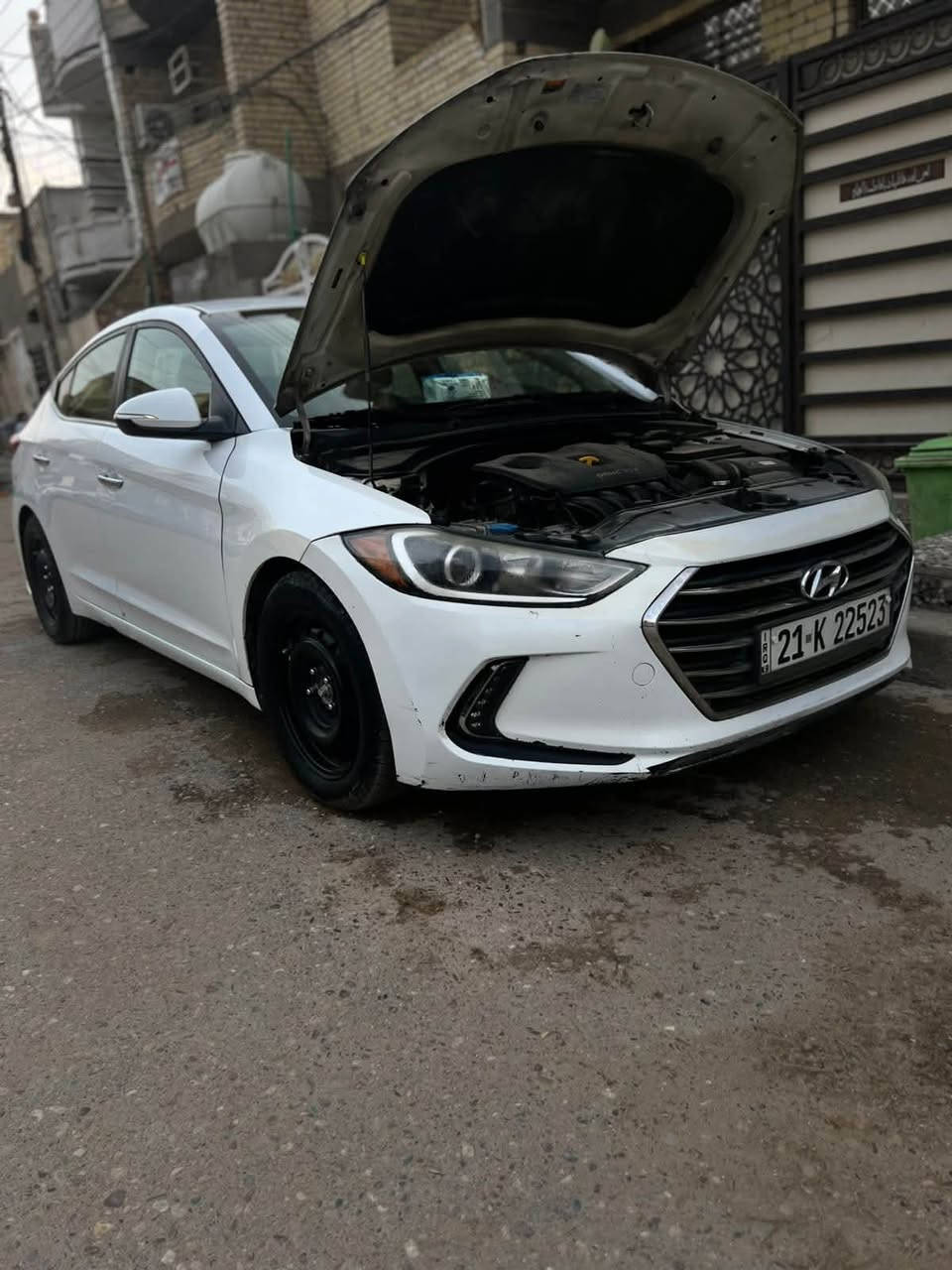 النترا • ٢٠١٧ • اربيل