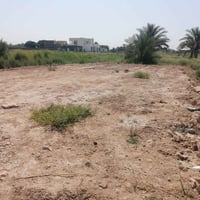 طابو زراعي • ٣٠٠م • ماء وكهرباء
