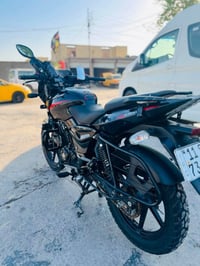 بولسر نيون • ٢٠٢٣ • مرقمة