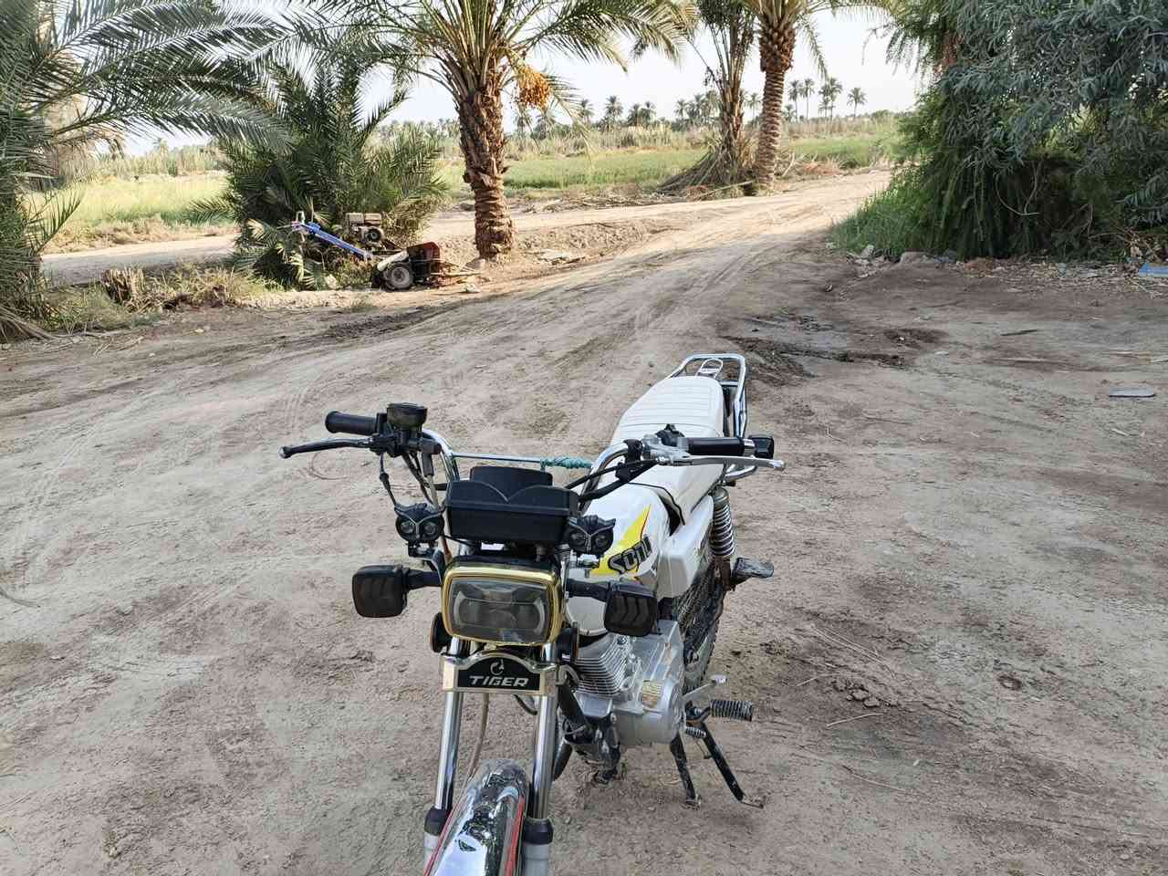 دراجه تايكر سونك موديل 24 اوراق اصولي
السعر 525 وبيه مجال لشراي 
تواصل على الرقم ***********
او مراسله الصفحه
