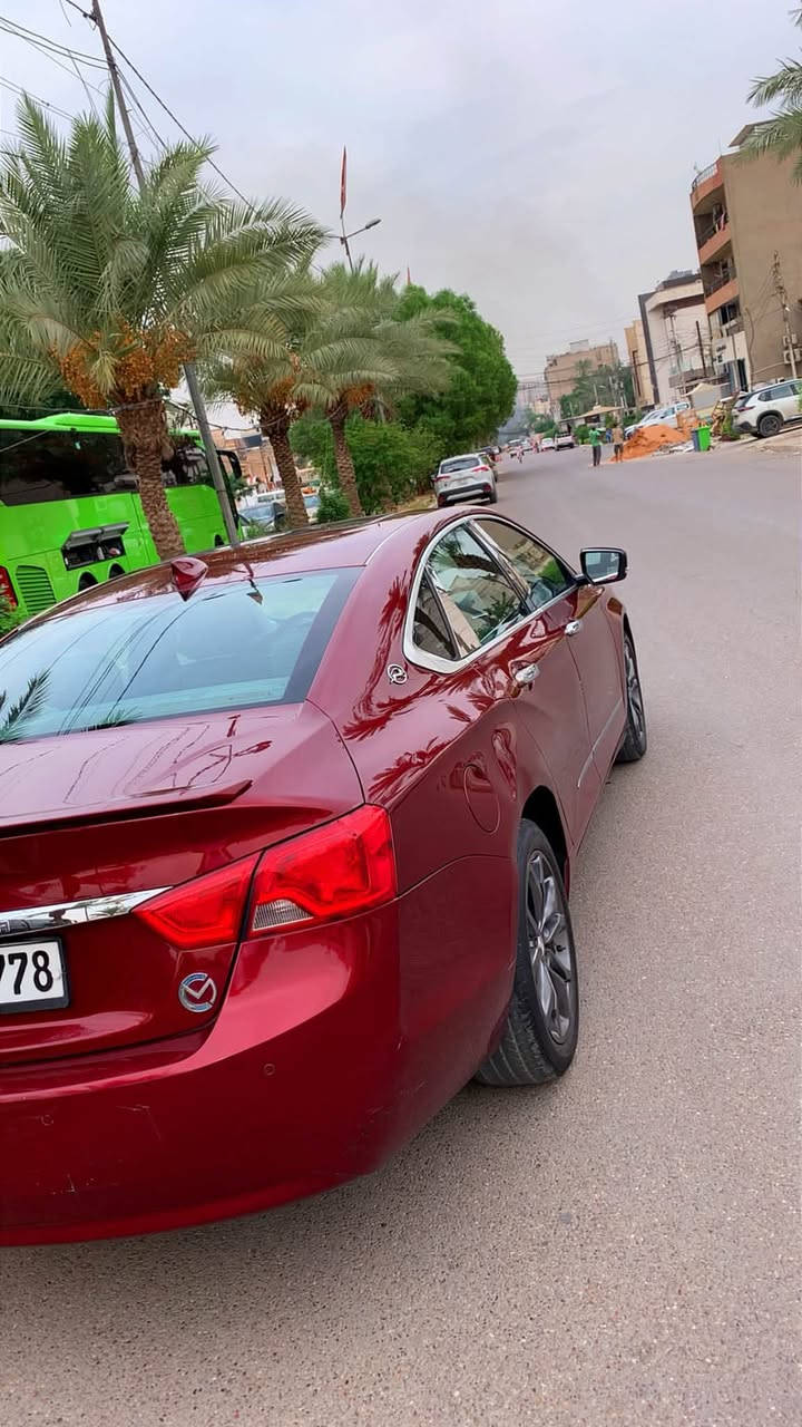 امبالا • ٢٠١٧ • رقم سليمانية
