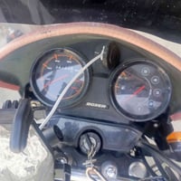 بوكسر • جبلي • ٢٠٢٤