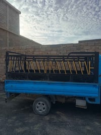 محجل • للبيع