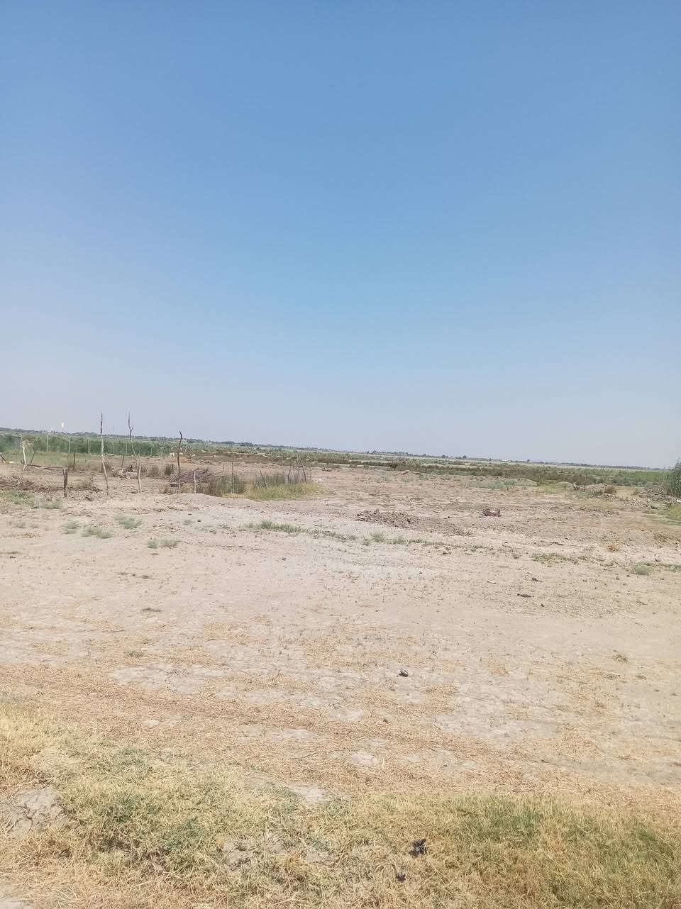 السلام عليكم بيت للبيع يحتوي على غرفتين نوم مع صاله مع مطبخ مع ديوانيه مع صحيات خارجيه مع كاع 20 دونم على طريق بعير قريةحمادي مايه من بعير غطاس يسكيه تصال على هاذه رقم ***********
