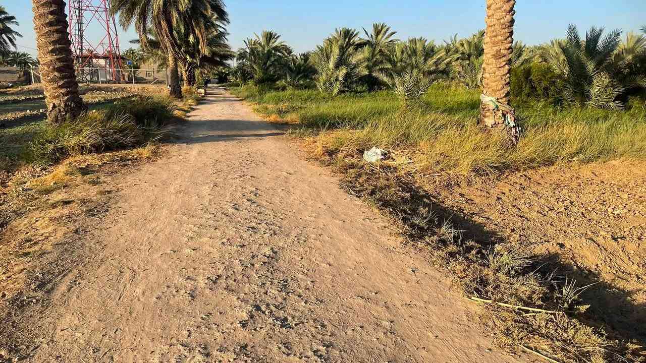 البيع نص دونم طابو سند 25 واجهه 20متر في كربلاء منطقة الزبيلية شارع ام البنين /*********** /***********

