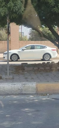خط طلاب • ٤ راكب • جامعة واسط