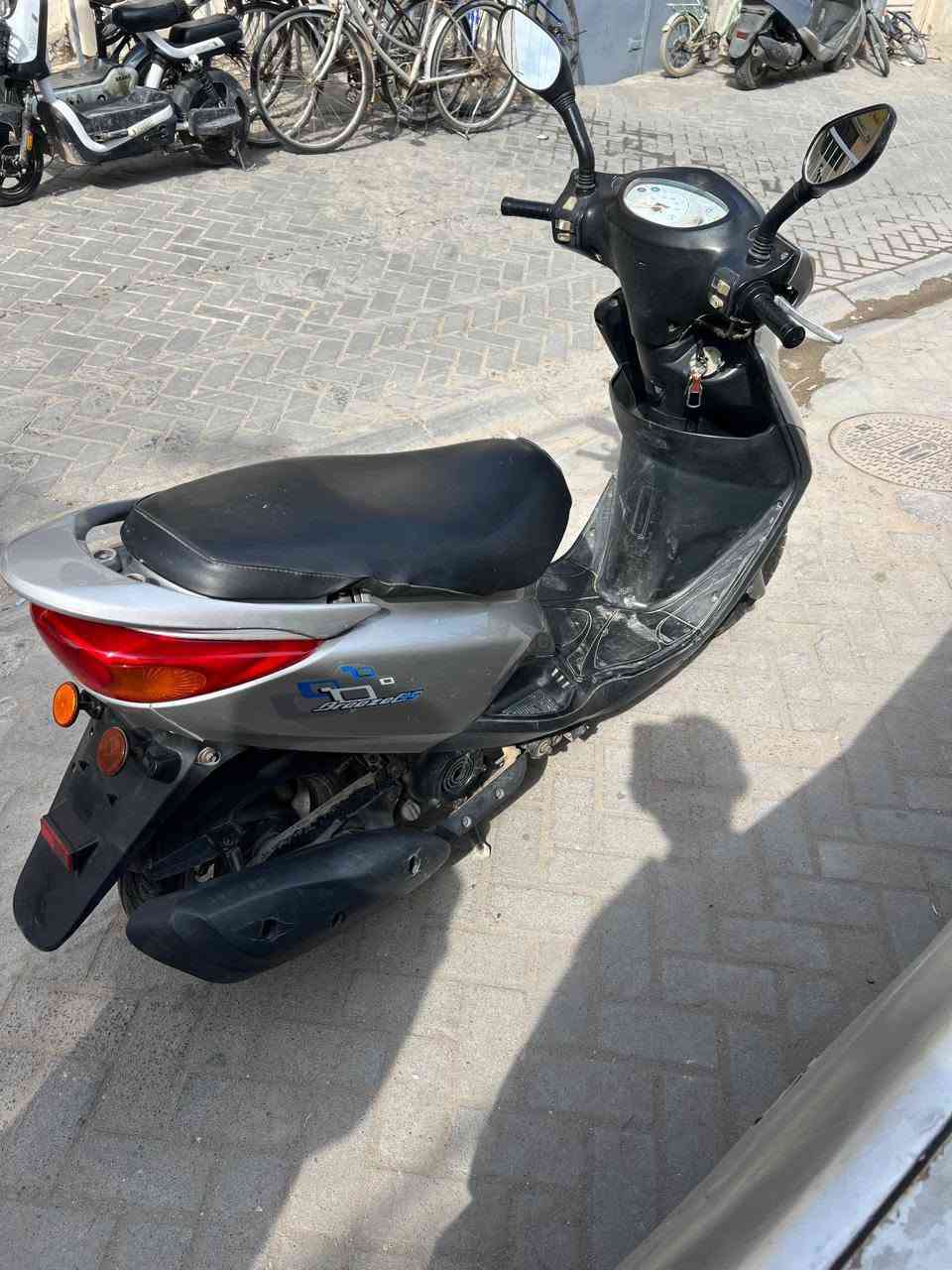 بغبغاء • نظيفة • مكفولة