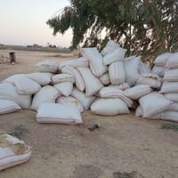 تبن • شل ابو ٨٠ • حديثة