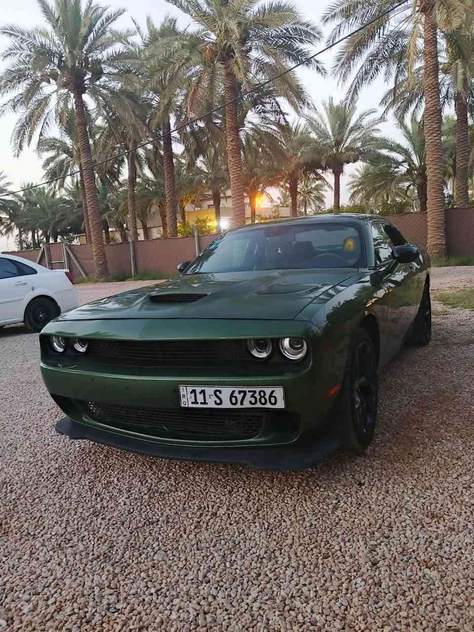 مستعجل ع البيع
جالنجر Gt آخر إصدار 

موديل      2021

لون.          زيتوني انيق

مكينه       3.600 

رقم.          بغداد بأسمي

بصمه.     أبواب 

تشغيل.    عن بعد

ماشيه       109  

السيارة جنن جاهزة من كل شي ادامة جديده تخم تاير جديد كير مكينه تبريد تدفئه صدر امامي خلفي كله مكفول 

مواصفات ال Gt معروفه كير مكينه كفاله 

حادثهه البنيد خفيف كلش حلو بيها قطعتين صبغ وجاملغ الخلفي اني هنا بالعراق طخيته

السعر : 158 وبيه مجال بسيط

📍الموقع     : بغداد

   للاستفسار  :***********
