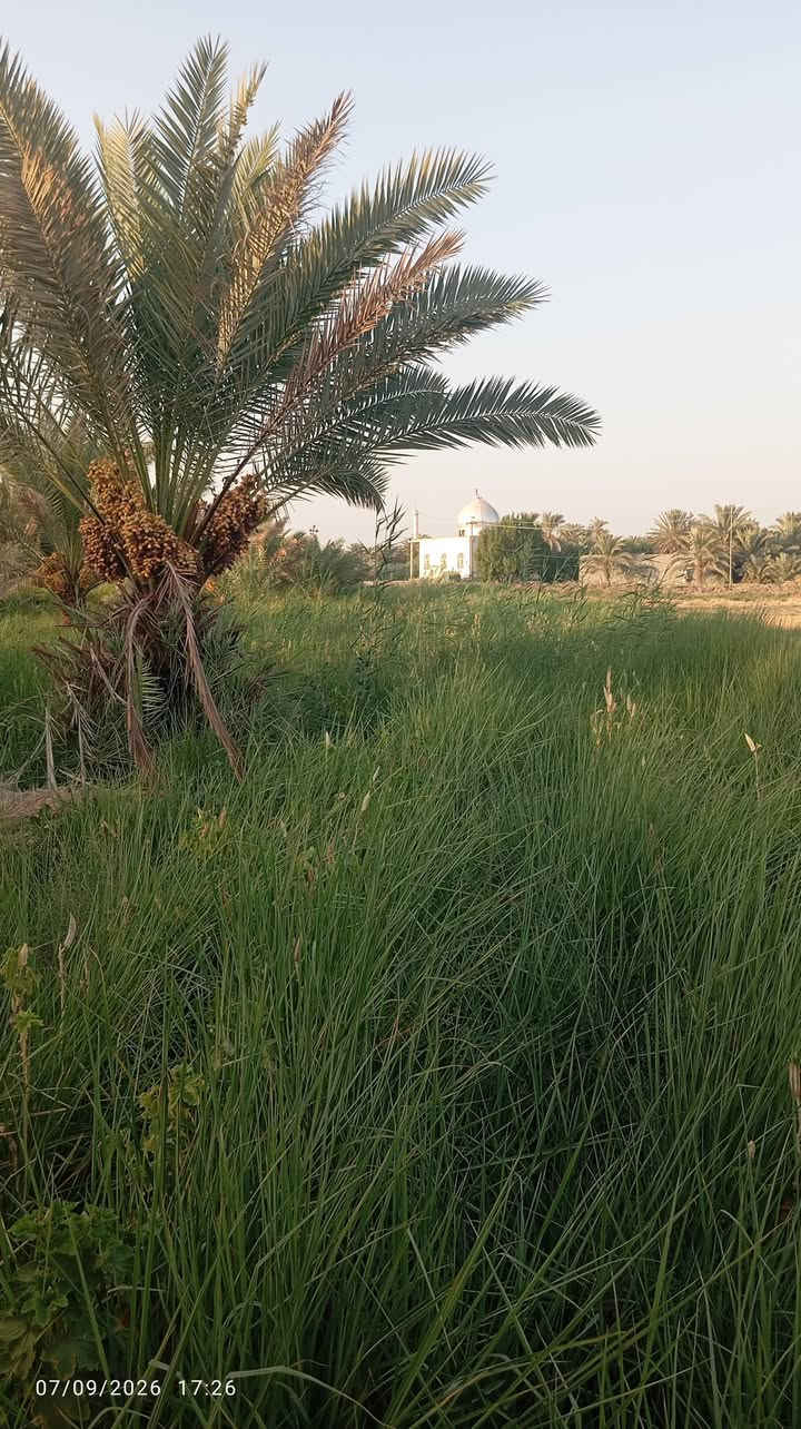 للبيع قطعت أرض دنيمين سند 25 النجف ابو صخير مع بيت يتكون من ستقبال 4\10 وصال4\10    3 غرف نوم 4\5 الستفسار

***********
