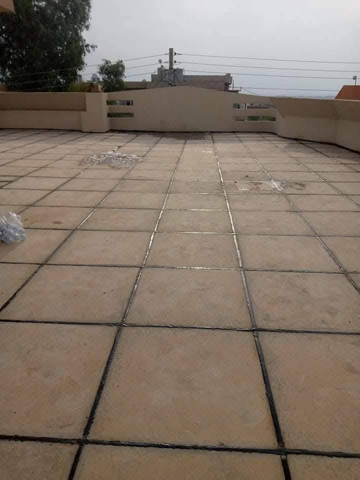 اسطى • ماستيك • وايزوگام