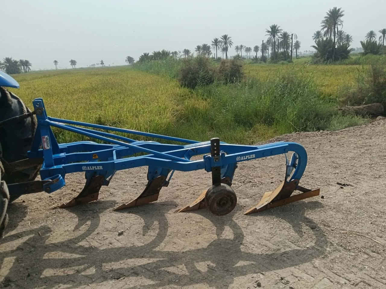 ديوانية • رباعي • ٢٠٢٤