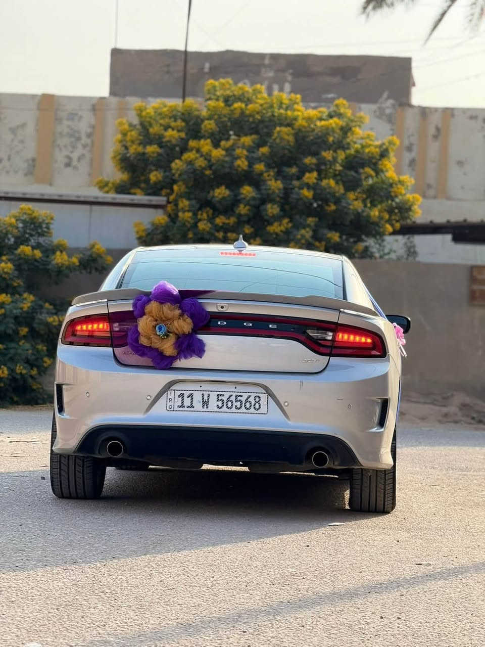 السلام عليكم
جارجر GT موديل 2021

رقم بغداد مشروع وطني 

مواصفات

كشن حضن GT

تشغيل عن بعد 

شاشة جبيره

كامره

صدر امامي خلفي كله جديد 

مابيه اي نقص 

صور حادثه موجوده بل منشور  

المكان بابل 

السعر ٢١٥ وبيه مجال بسيط 

للاستفسار ***********

