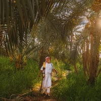 كصاص نخل • بكل الأنواع • أسعار مناسبة
