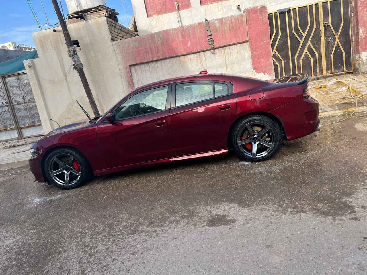 اسكات باك • ٢٠١٩ • رقم بغداد