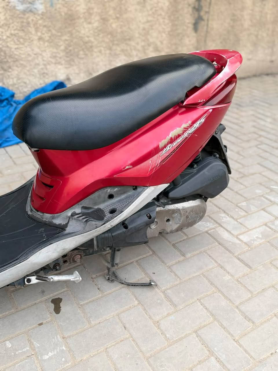بريز ببغاء • نضافه • ١١٥٠
